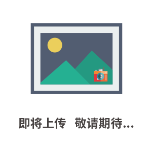 紫線強度監測儀（配件探頭） 型號:CZR11ZP-UVM4A